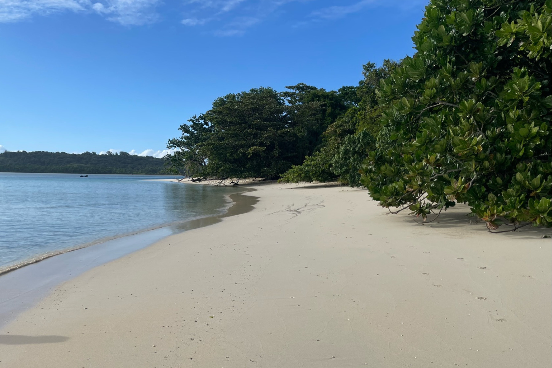 Crossing to Car-Free Paradise (Island Day 4)