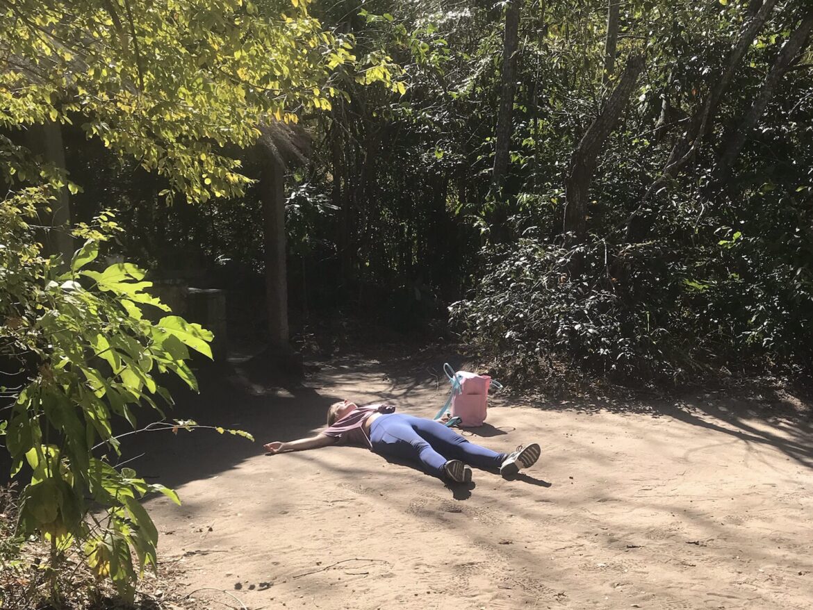 Finding home on Madagascan ground in Isalo National Park