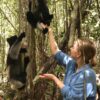 Karen Petersen touching a Vari in Palmarium Private Reserve Madagascar