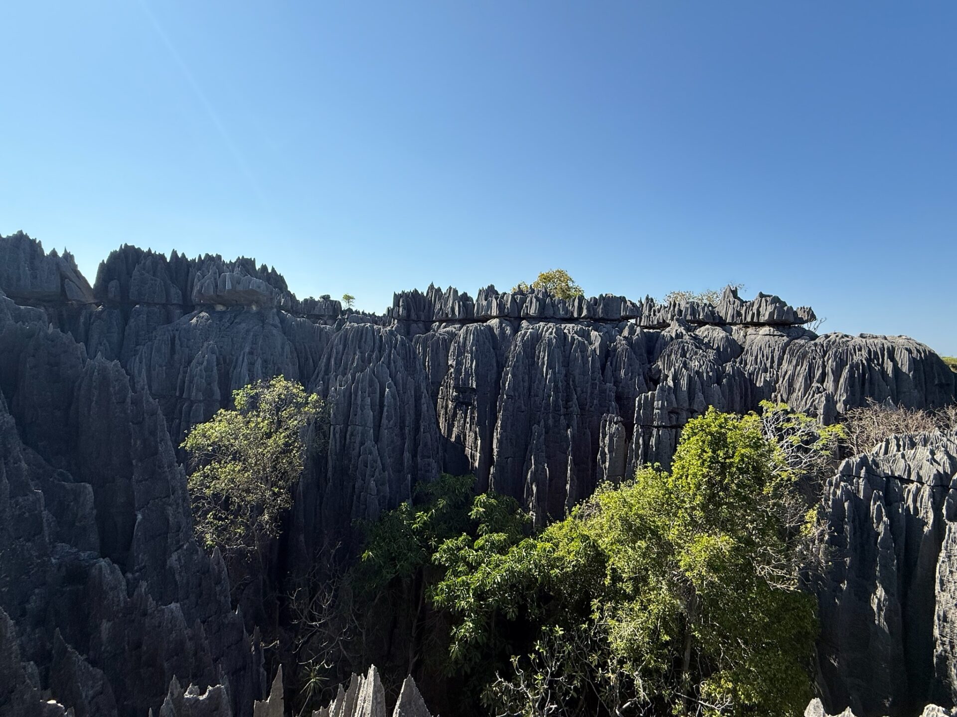 Conquering the Grand Tsingy
